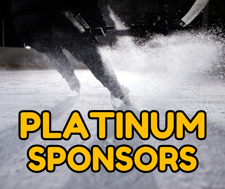 Platinum Sponsorships